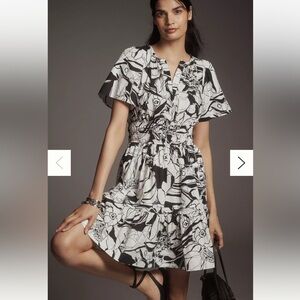 NWT: Anthropologie The Somerset Mini Dress (size small petite)